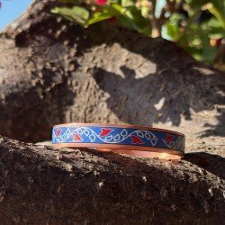 LAJA-1702 – LAJA-1702 –