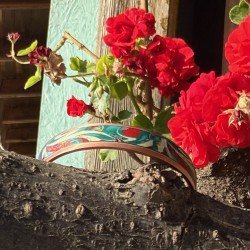 LAJA-1704 – LAJA-1704 –